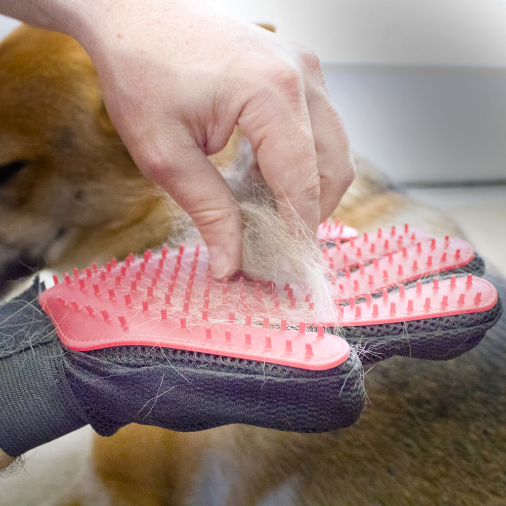 Katzen- und Hundepelz-handschuhe (1 Paar)